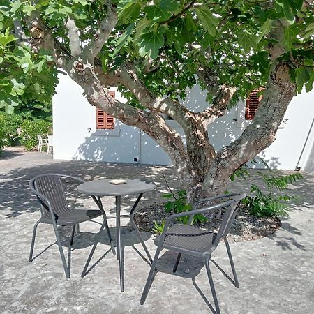 B&B Villa Rosanna 法萨诺 外观 照片