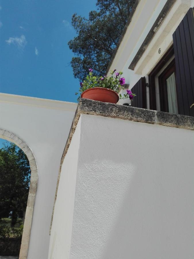 B&B Villa Rosanna 法萨诺 外观 照片